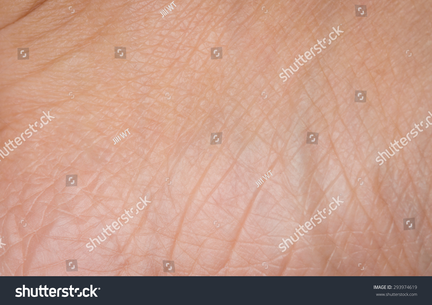 up human skin macro epidermis stock image image of cells health 36429395 human skin texture macro stock photo 293974619 up human skin macro epidermis stock image image of cells health 36429395 human skin texture macro stock photo 293974619