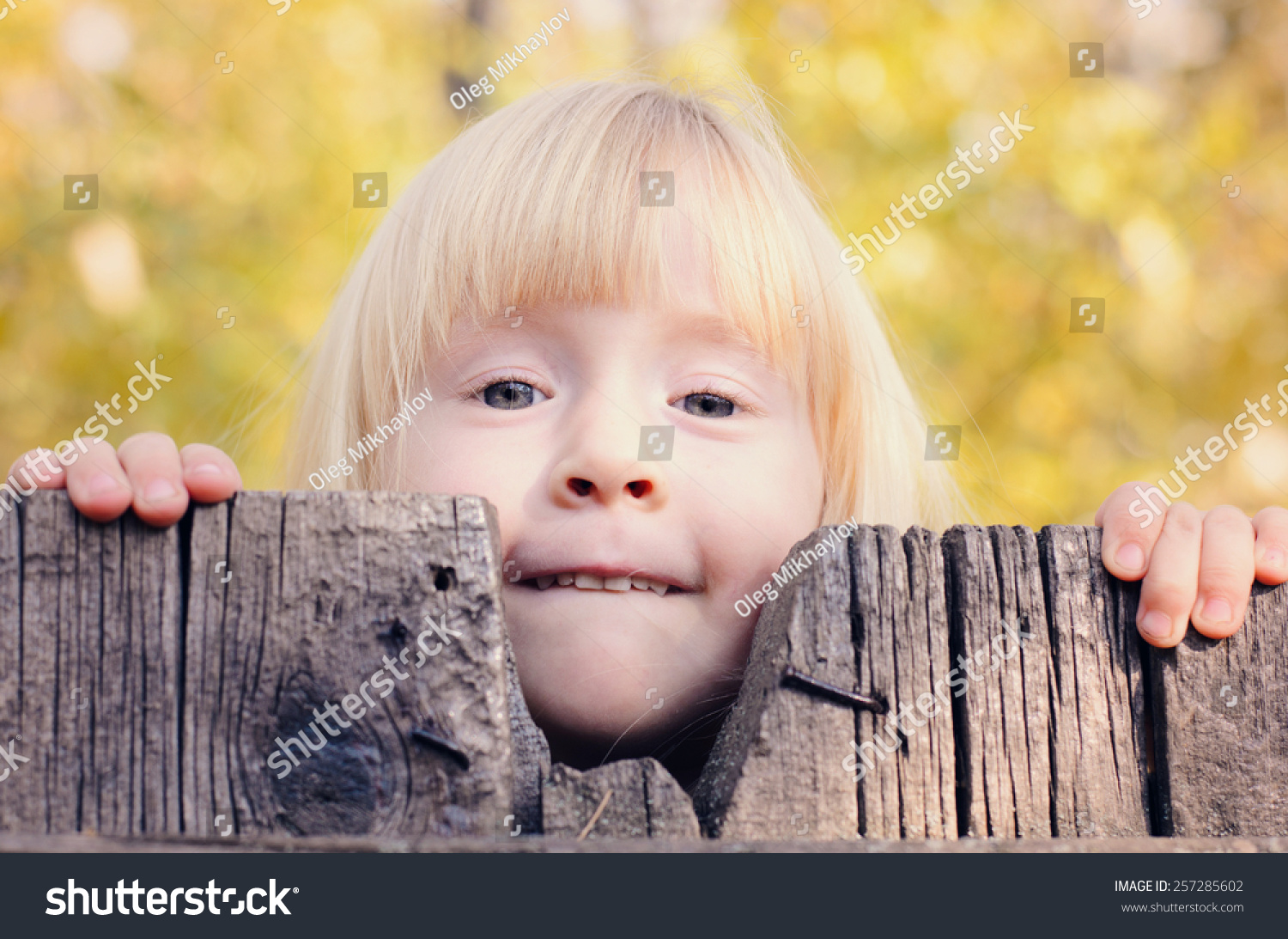 Close Up Little Blond Girl Peeking Over An Old Wooden Fence With A ...