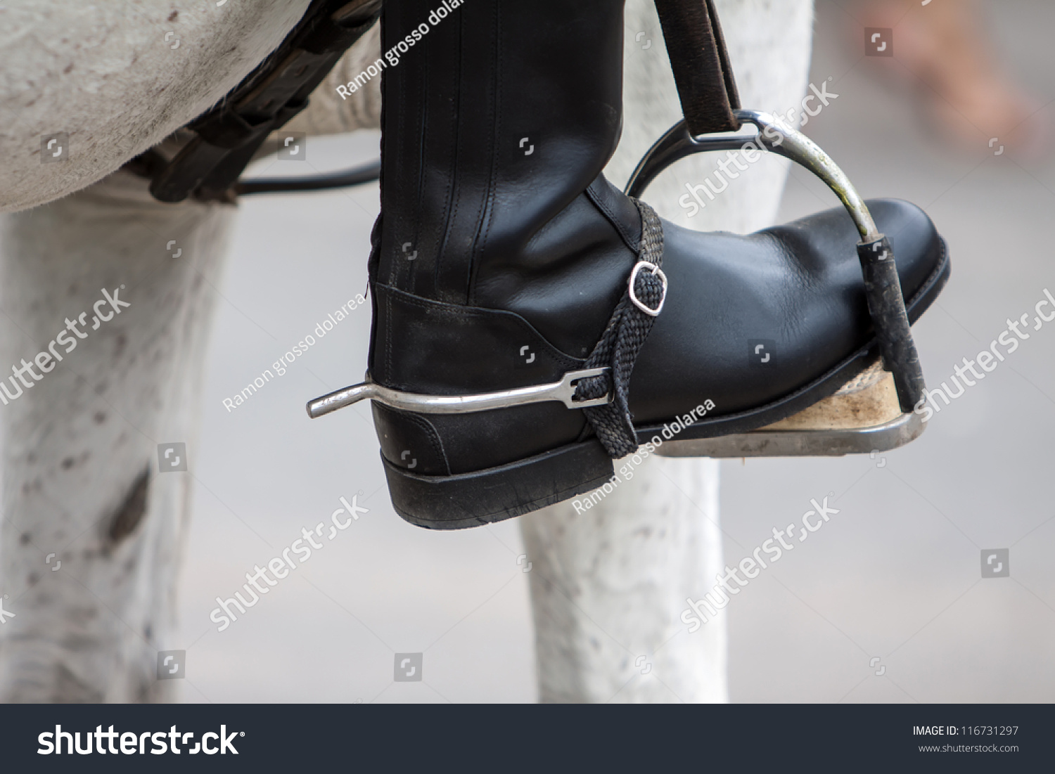 Close Up Of A Black Leather Boot On Stirrup Stock Photo 116731297 ...