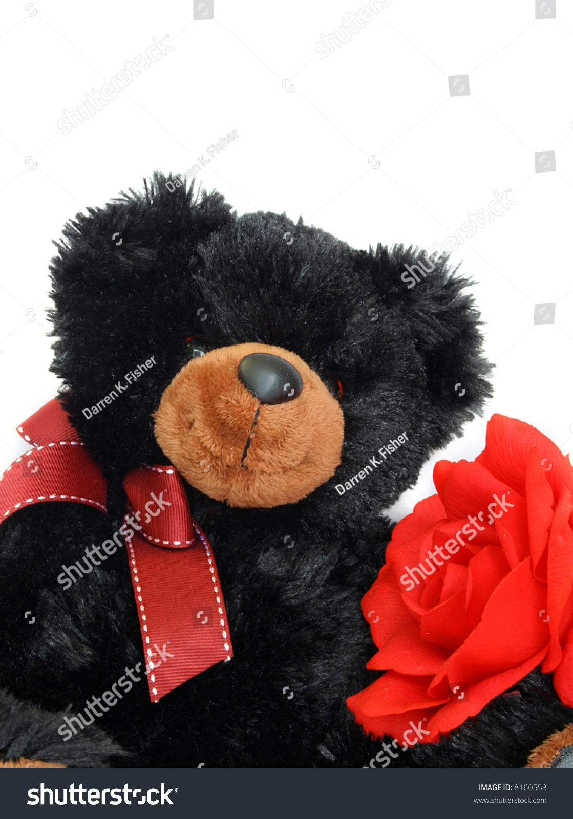 red black teddy bear