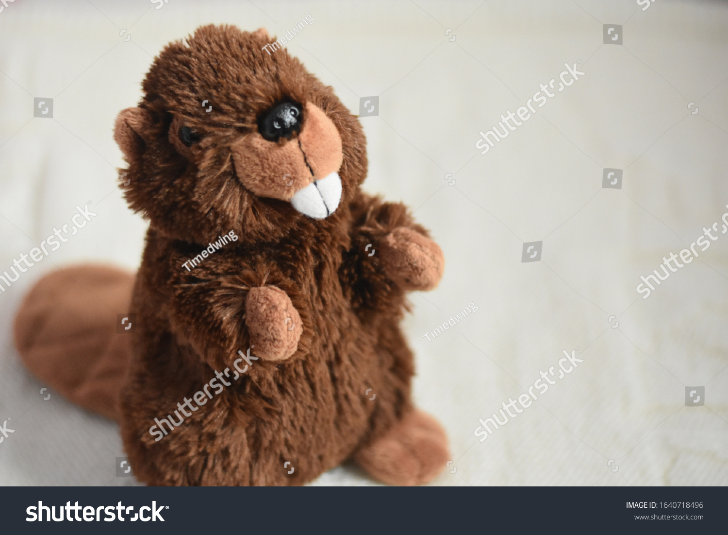 beaver teddy