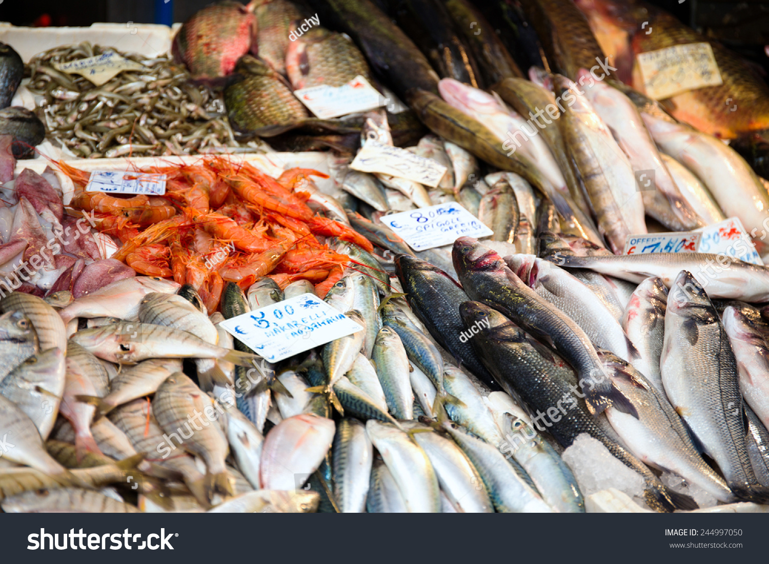 Close Fish On Display Fish Market Stock Photo Edit Now