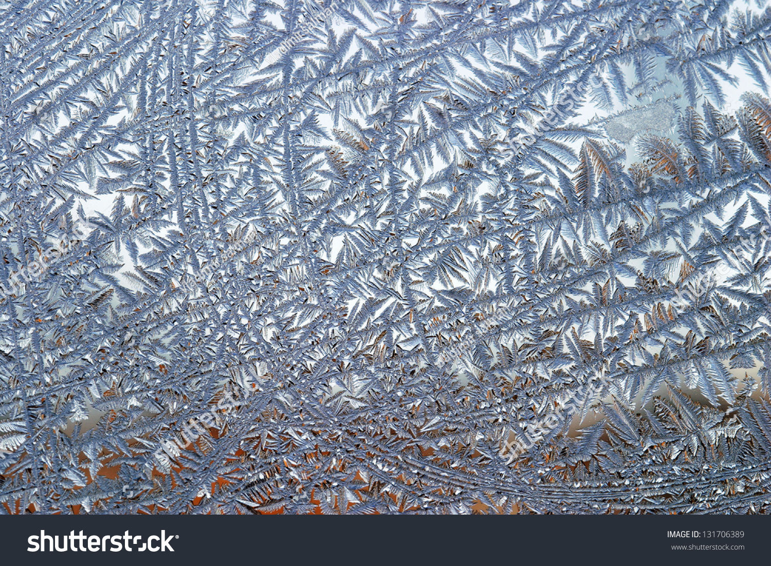 Close-Up Of Frost In Winter Stock Photo 131706389 : Shutterstock