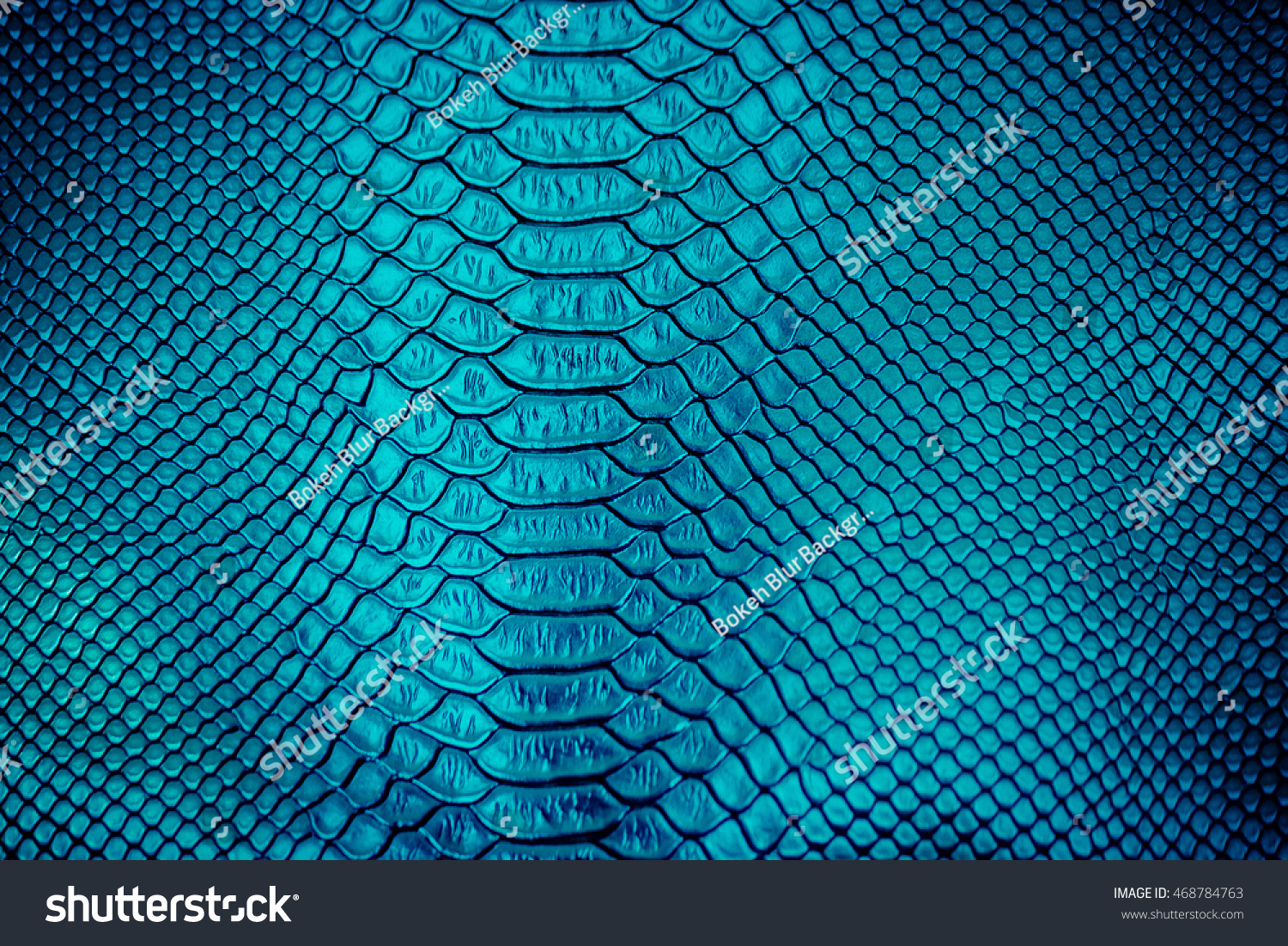 Scaly texture Images, Stock Photos & Vectors | Shutterstock