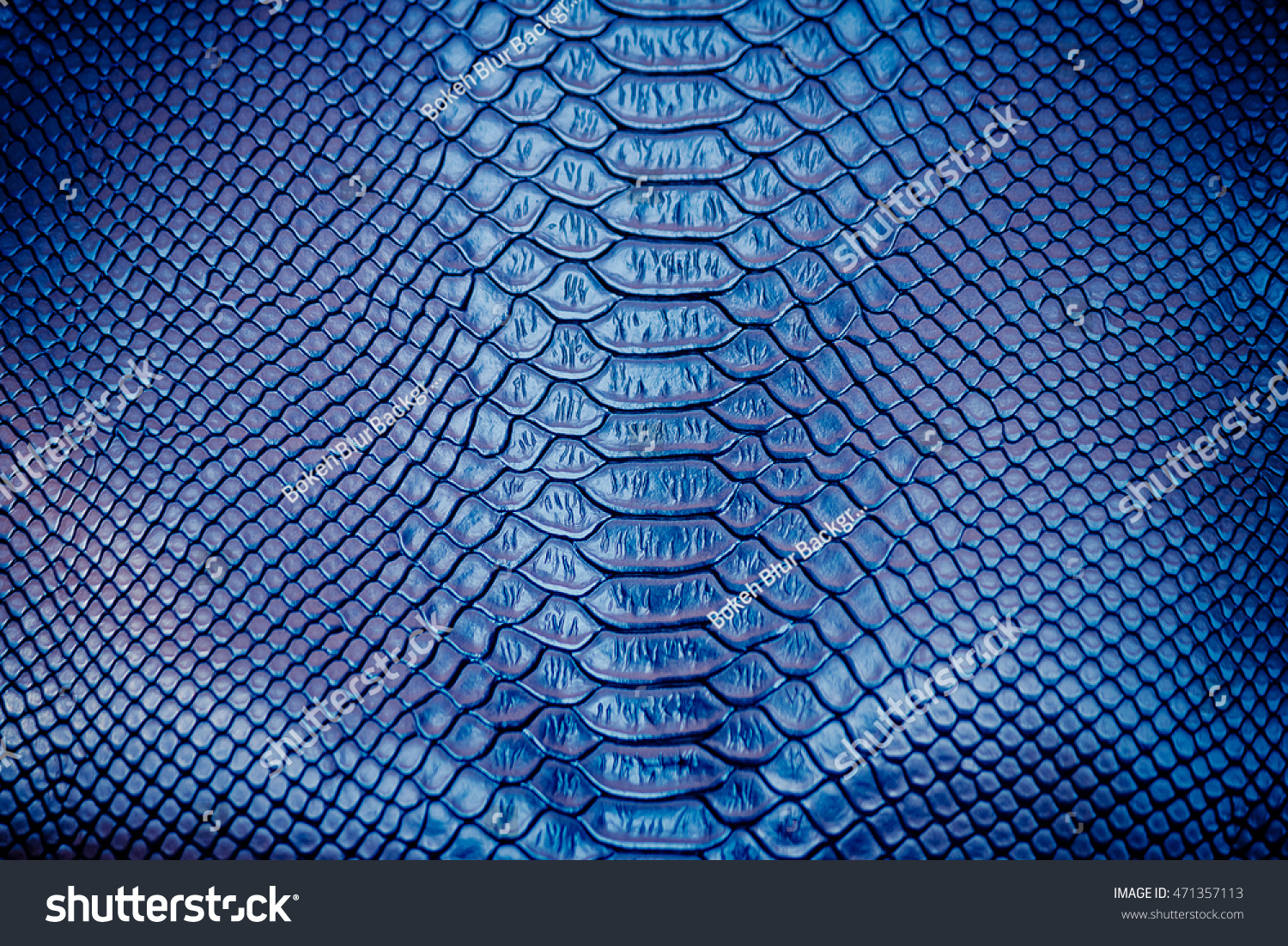 Close Luxury Snake Skin Texture Use Stock Photo 471357113 | Shutterstock