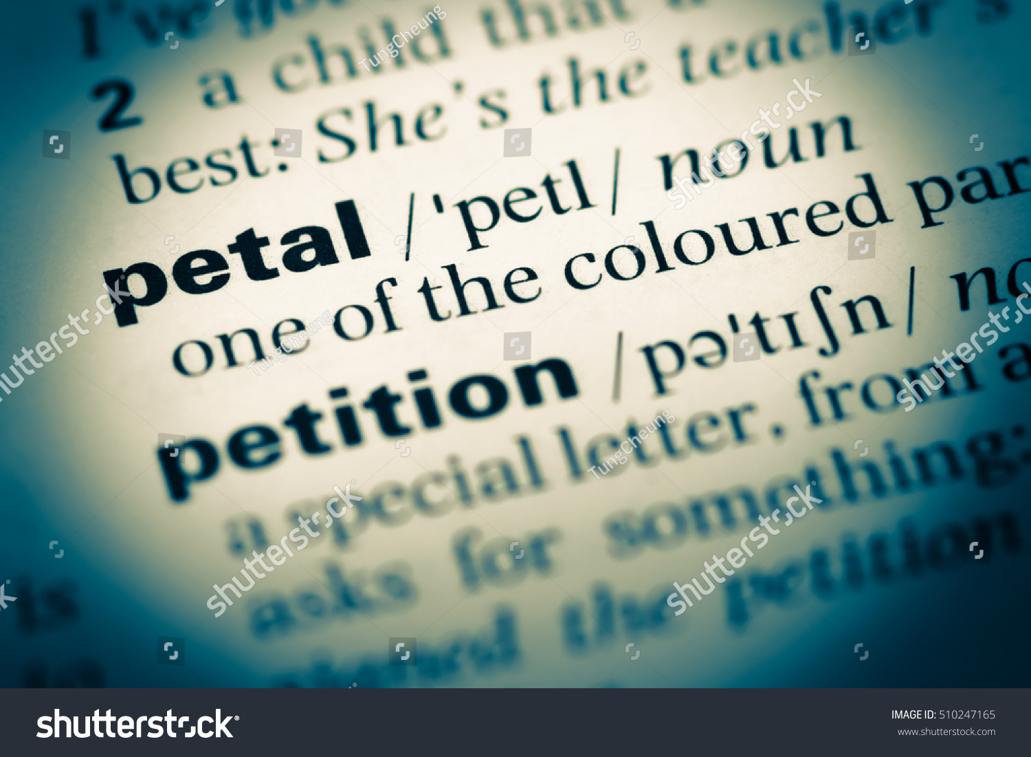 petal dictionary