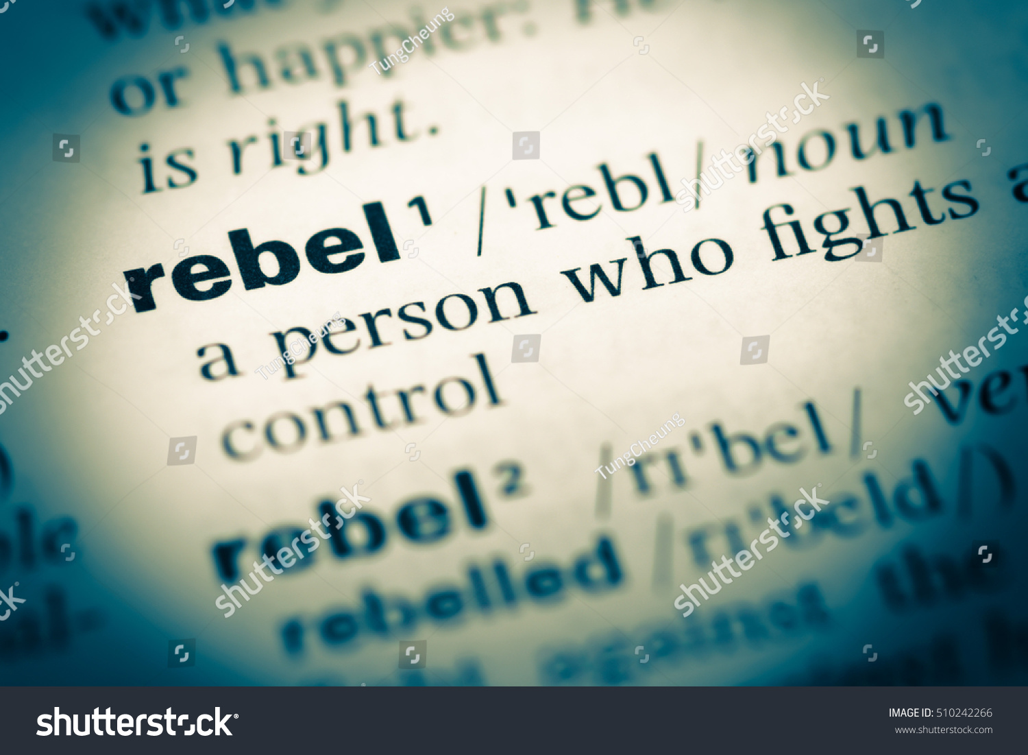 Rebel meaning