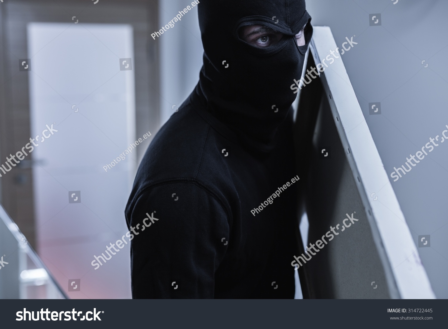 236 Robber Stealing Painting Images, Stock Photos & Vectors 