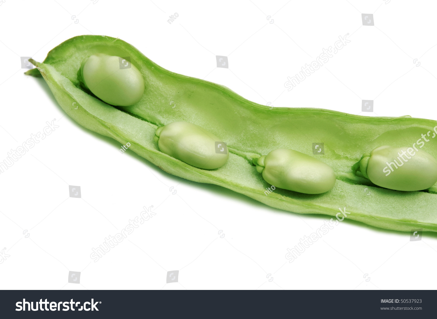 Close Up Of Some Broad Beans Inside The Pod Stock Photo 50537923 ...