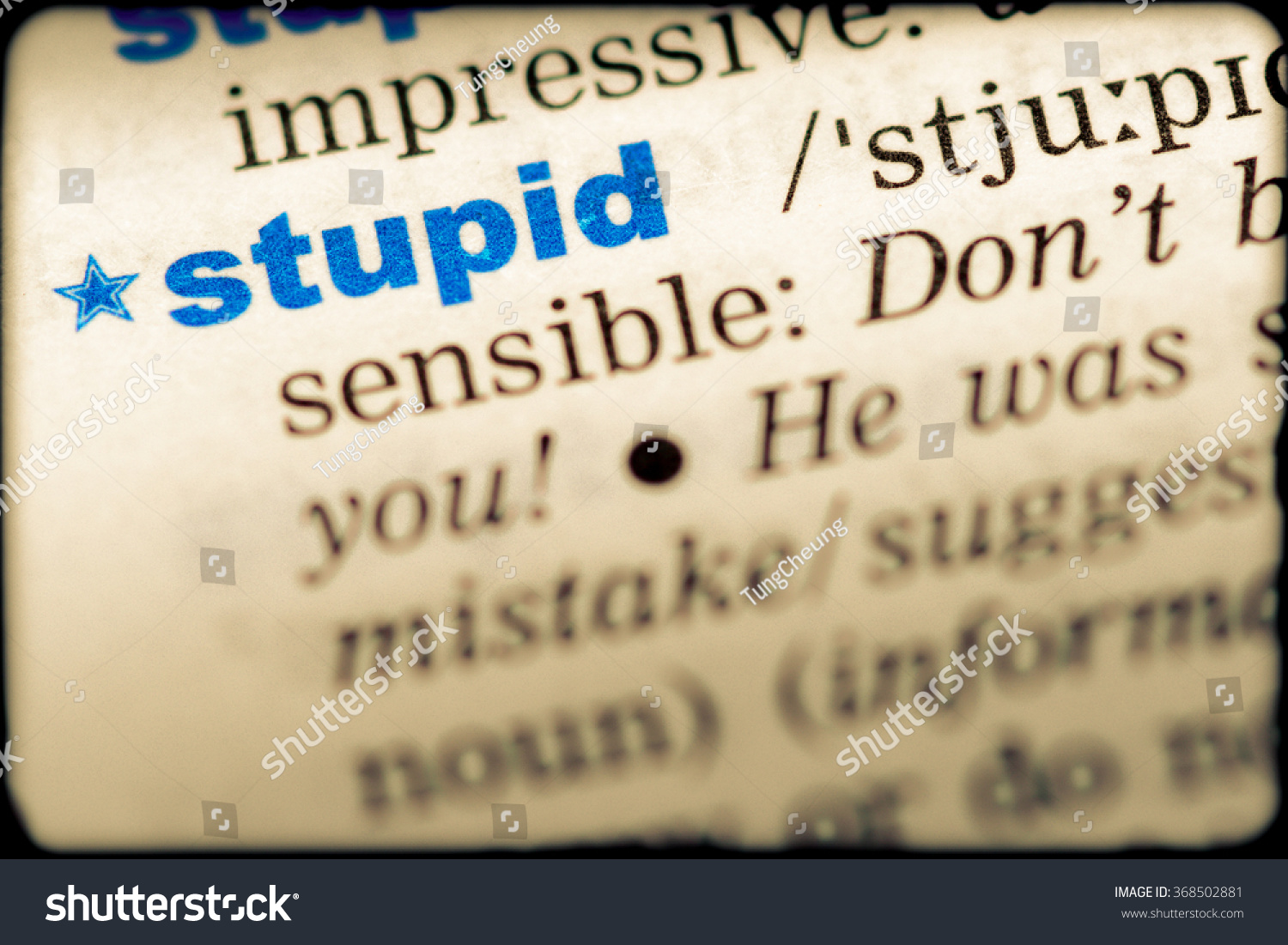 stupid definition of stupid by the free dictionary