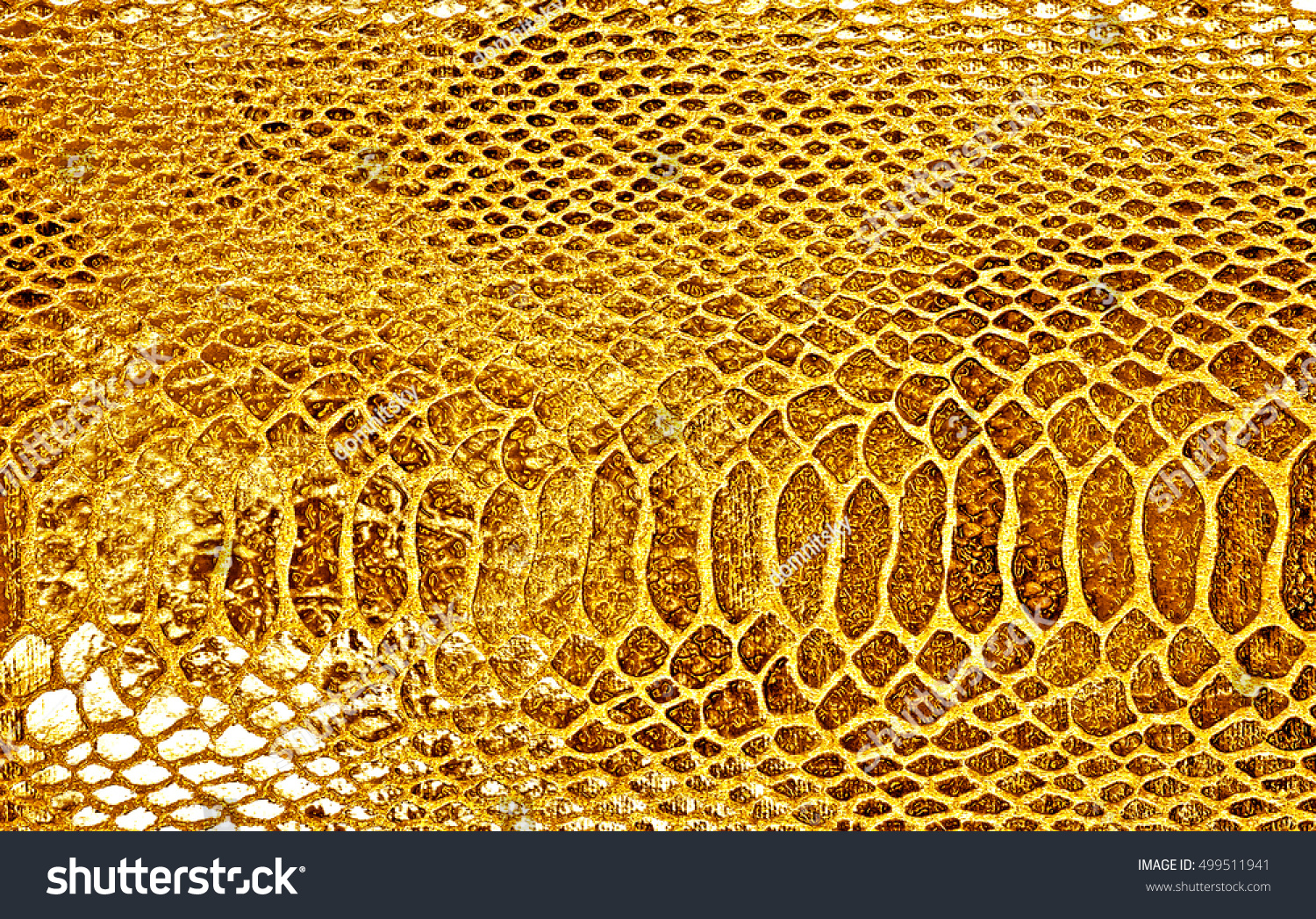 Closeup Yellow Snake Skin Background Stock Photo 499511941 - Shutterstock