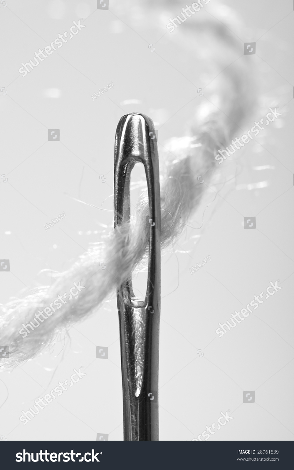Close-Up Thread A Needle Stock Photo 28961539 : Shutterstock
