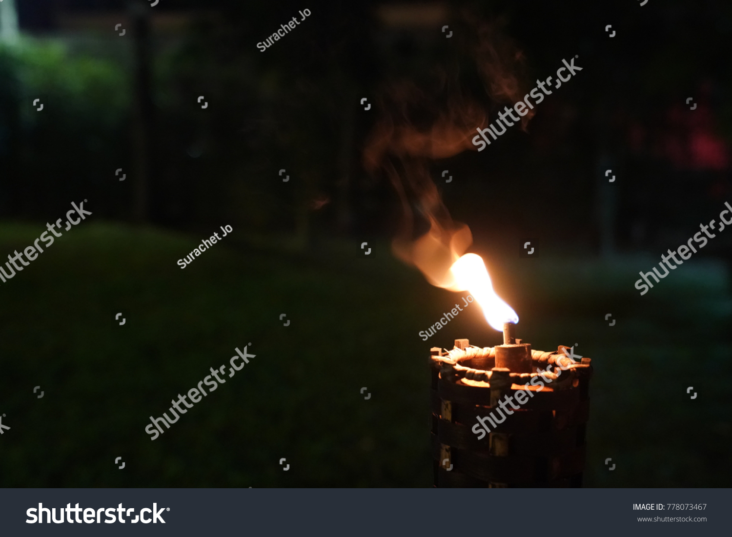 Close Torch Fire Night Garden Stock Photo 778073467 | Shutterstock