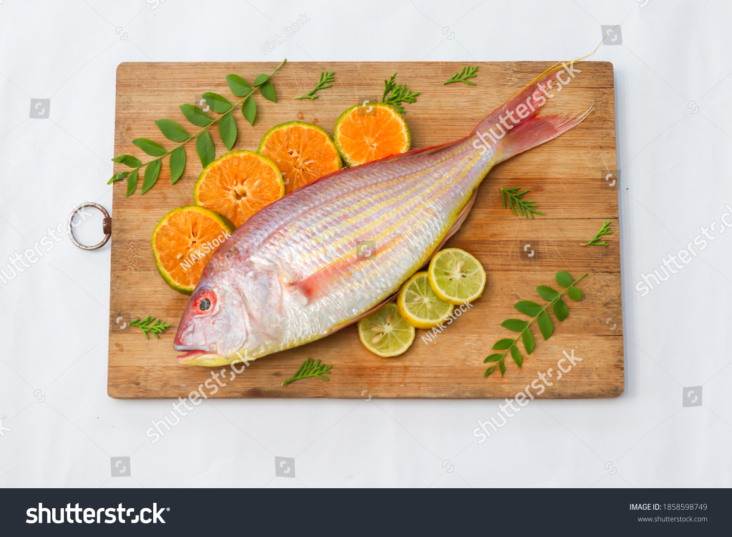 Threadfin Images, Stock Photos & Vectors | Shutterstock