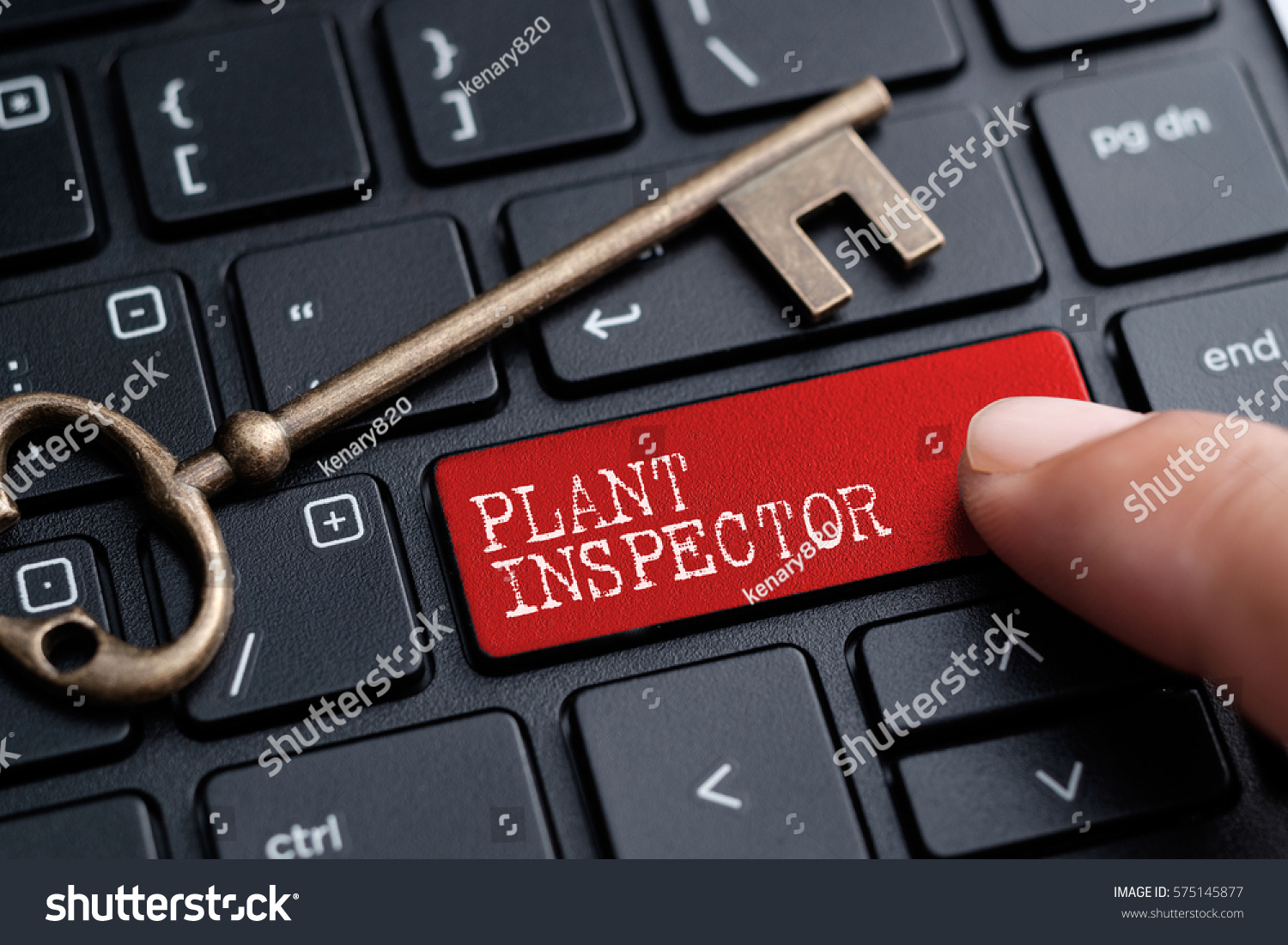 Image result for Plant Inspector