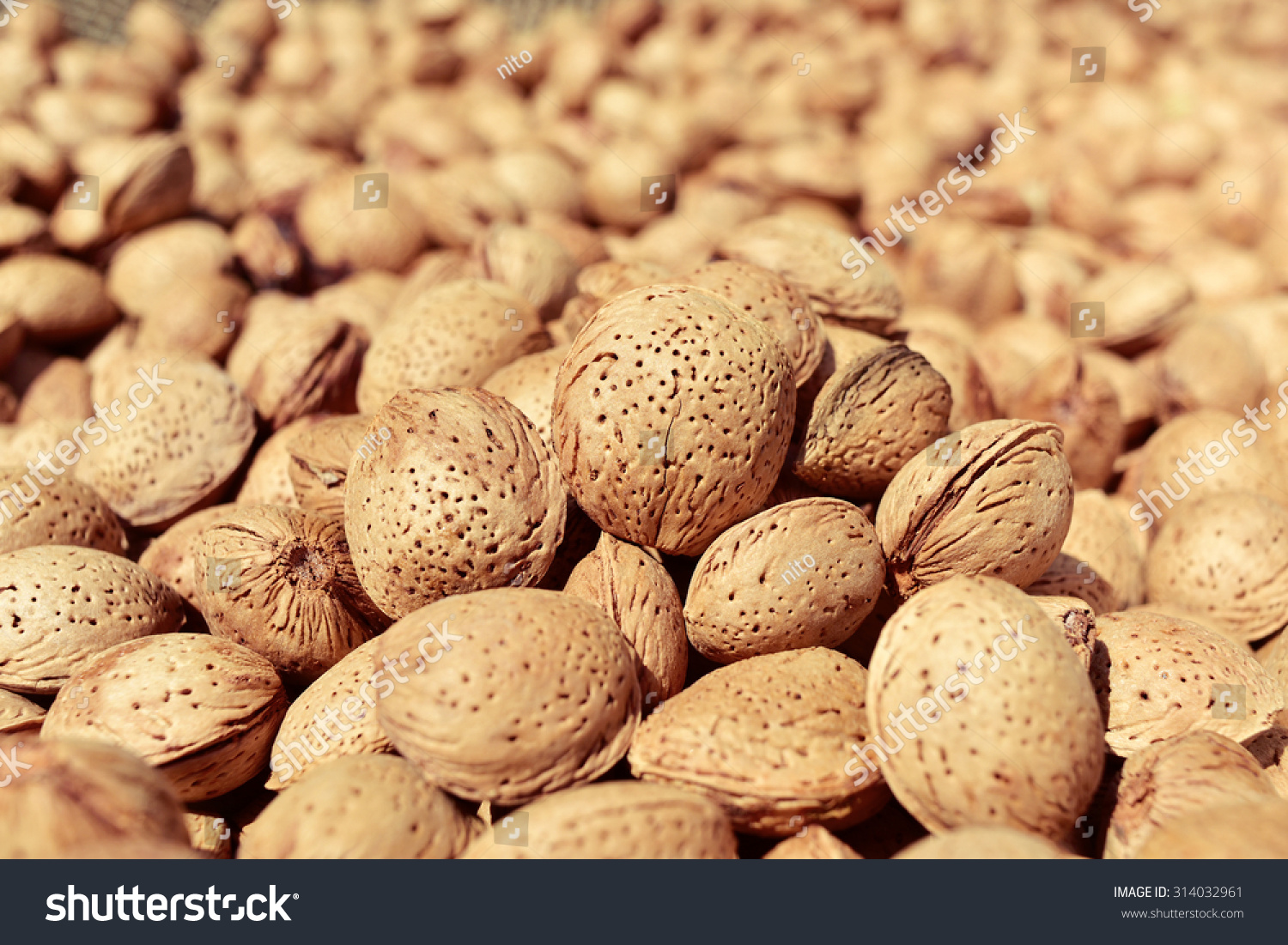  Coral Resting Curve Template Design Featuring Closeup of a Pile of Almonds