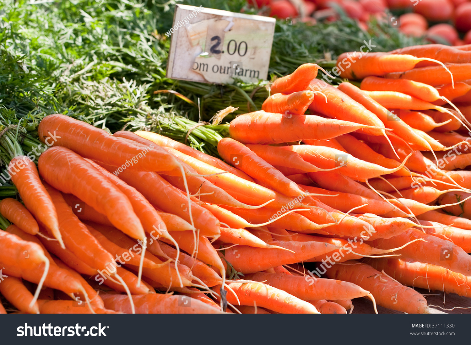 Closeup Bunches Carrots Sign Indicating Their Stock Photo Edit
