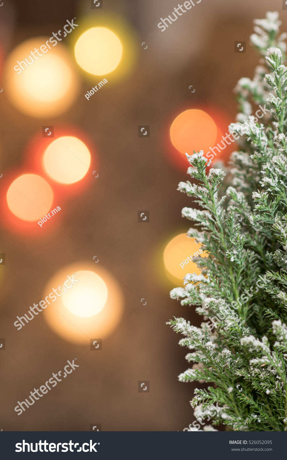 Closeup Of Christmas-Tree. Stock Photo 526052095 : Shutterstock