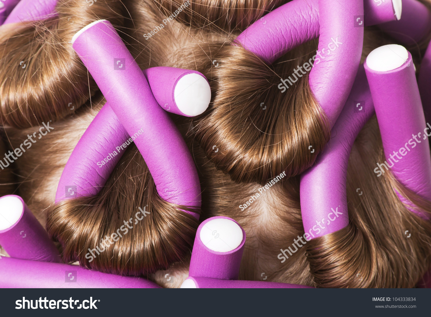 Closeup Dark Blonde Hair Purple Curlers Stock Photo Edit Now