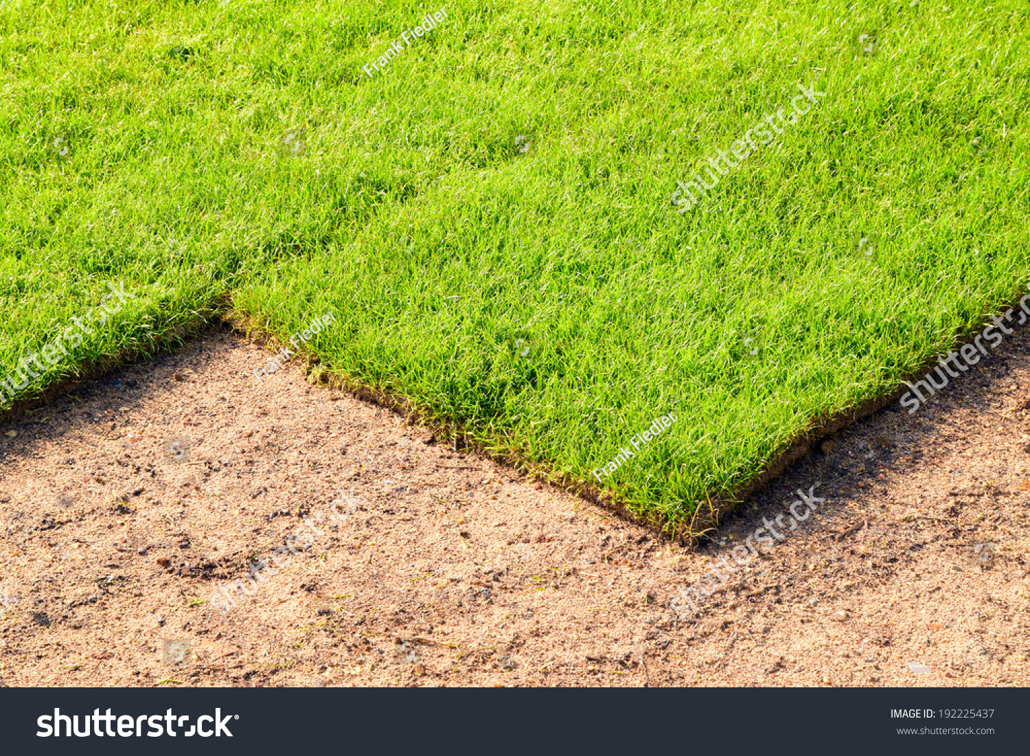 Closeup Of Freshly Laid Turf In A Garden Stock Photo 192225437 ...