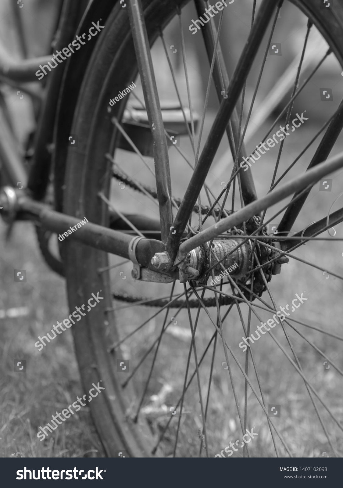 white bike spokes