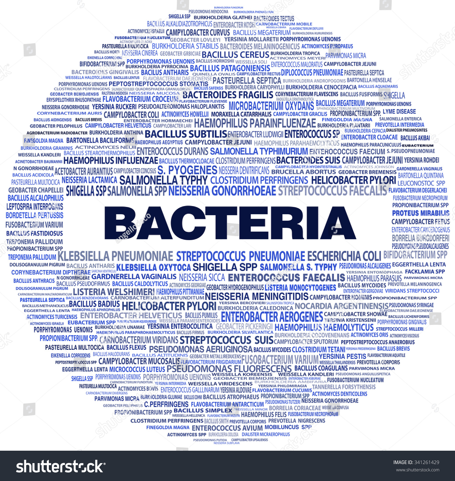 cloud-names-bacteria-big-bacteria-highlighted-stock-illustration-341261429-shutterstock