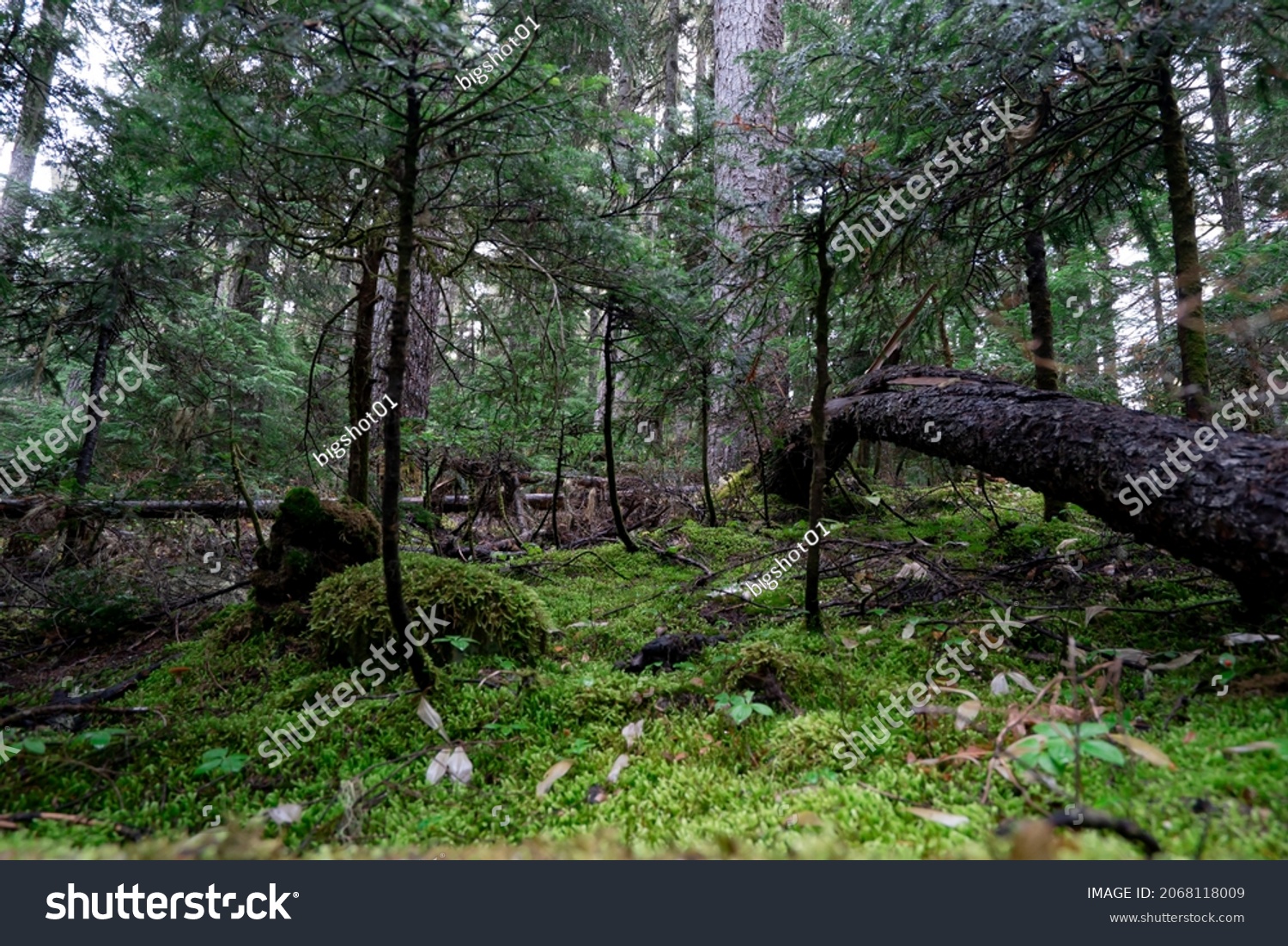 46 Joffre lakes trail falls Images, Stock Photos & Vectors | Shutterstock