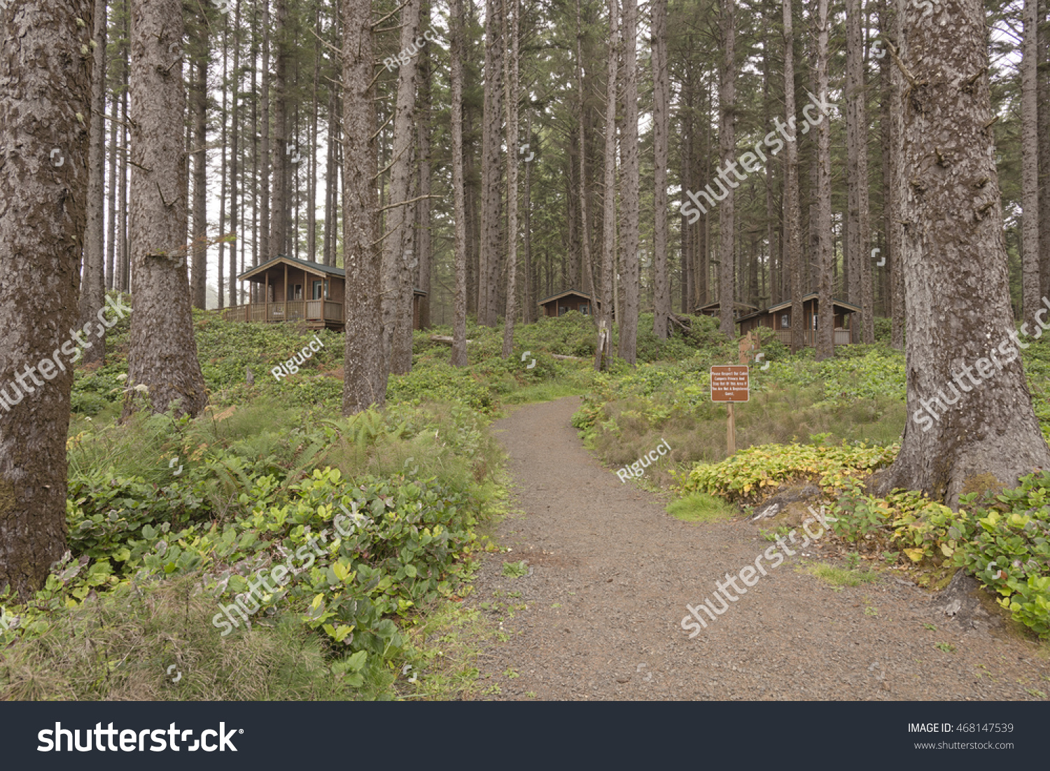 Coastline Cabins Rent Oregon Coast Stock Image Download Now