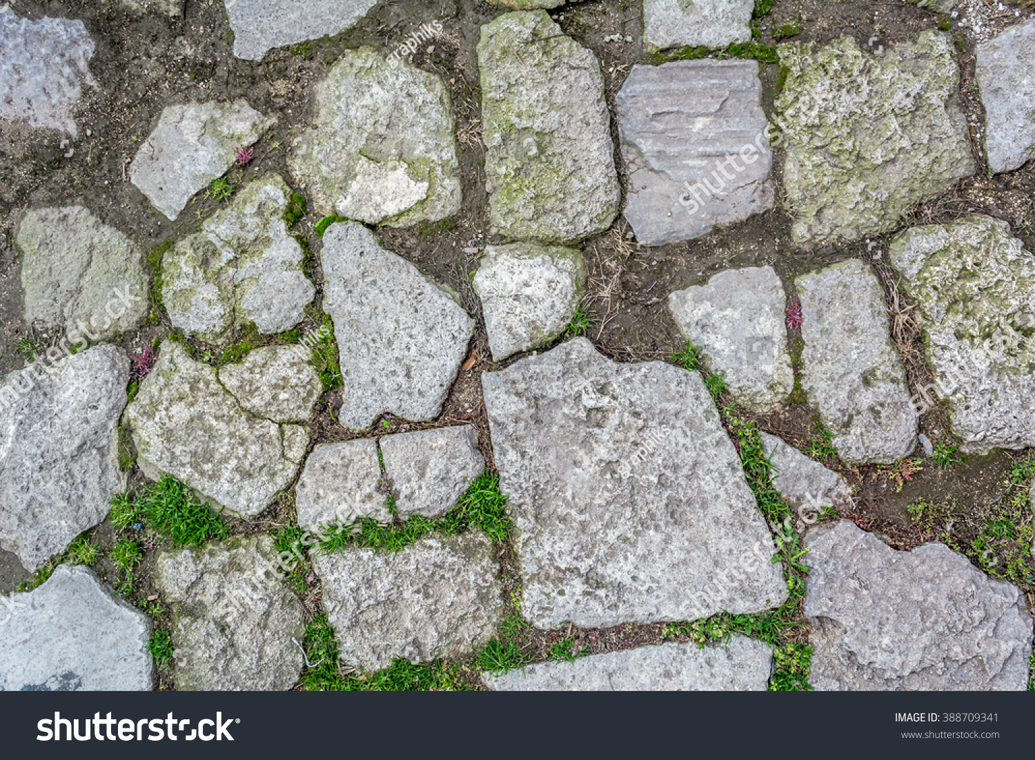 Cobblestone With Grass Texture , Stone Path With Grass Texture ...