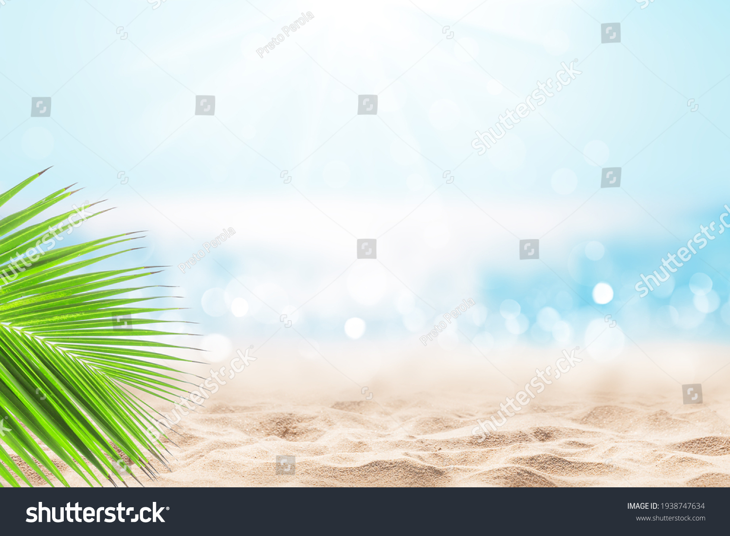 2,345 Cana plant Images, Stock Photos & Vectors | Shutterstock