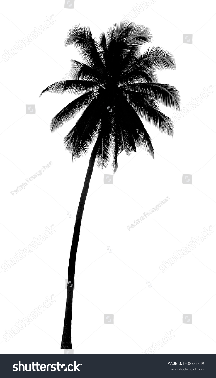 5,107 Palm Logo Stock Photos, Images & Photography 