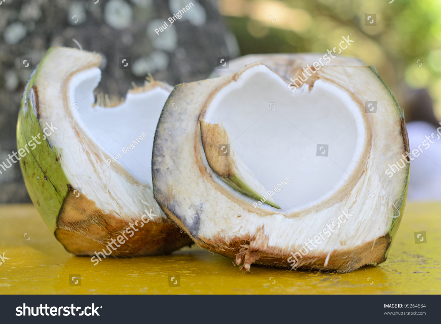Coconut Tropical Green Coconut Opened Flesh Stock Photo 99264584 ...
