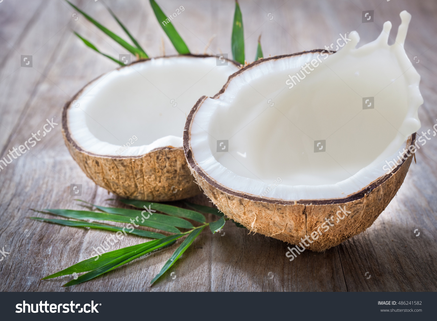 Coconut Milk Splash Inside Stock Photo 486241582 - Shutterstock