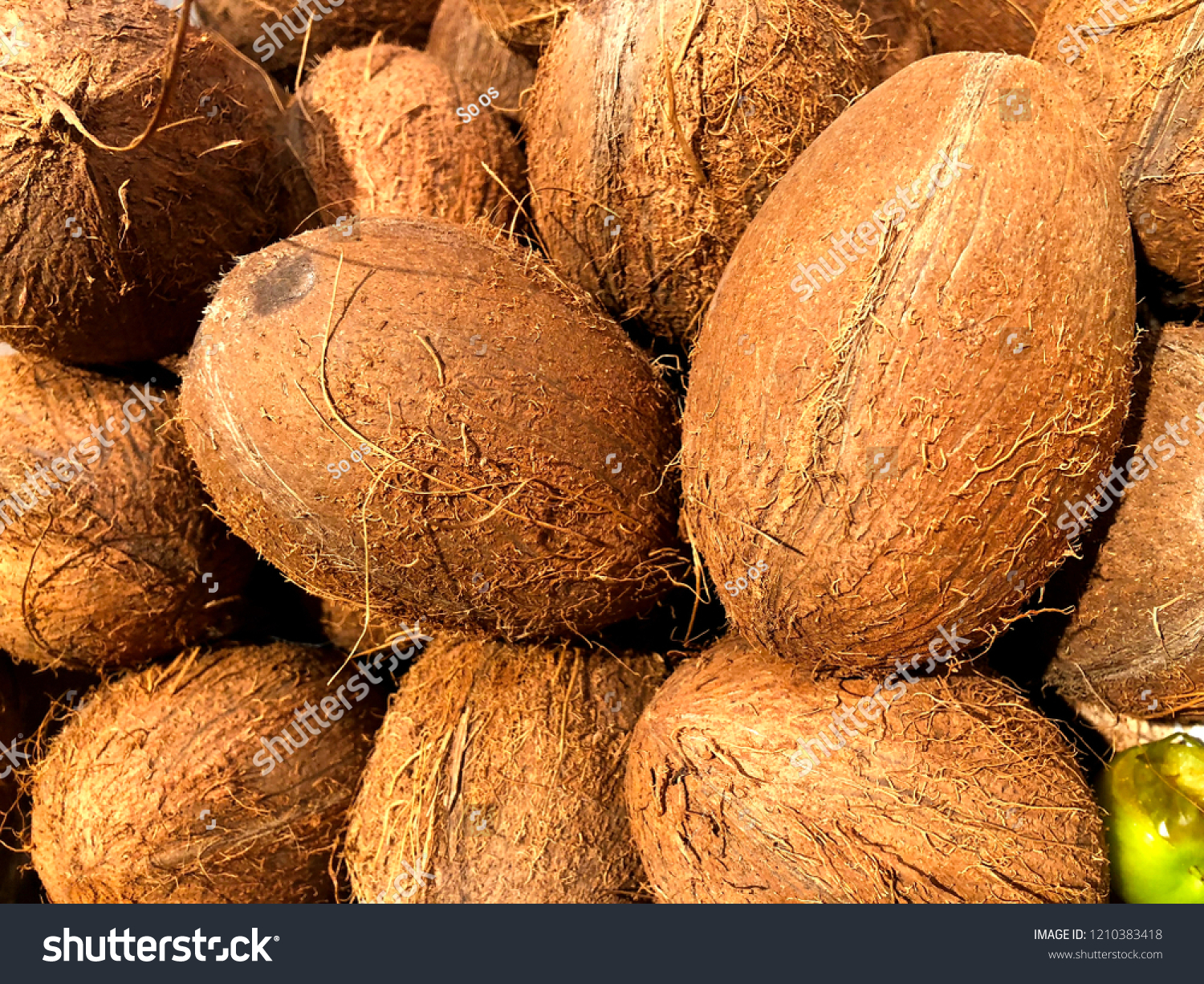 Coconuts Vegetables Fragment Fruit Vegetable Shop Stock Photo Edit Now 1210383418