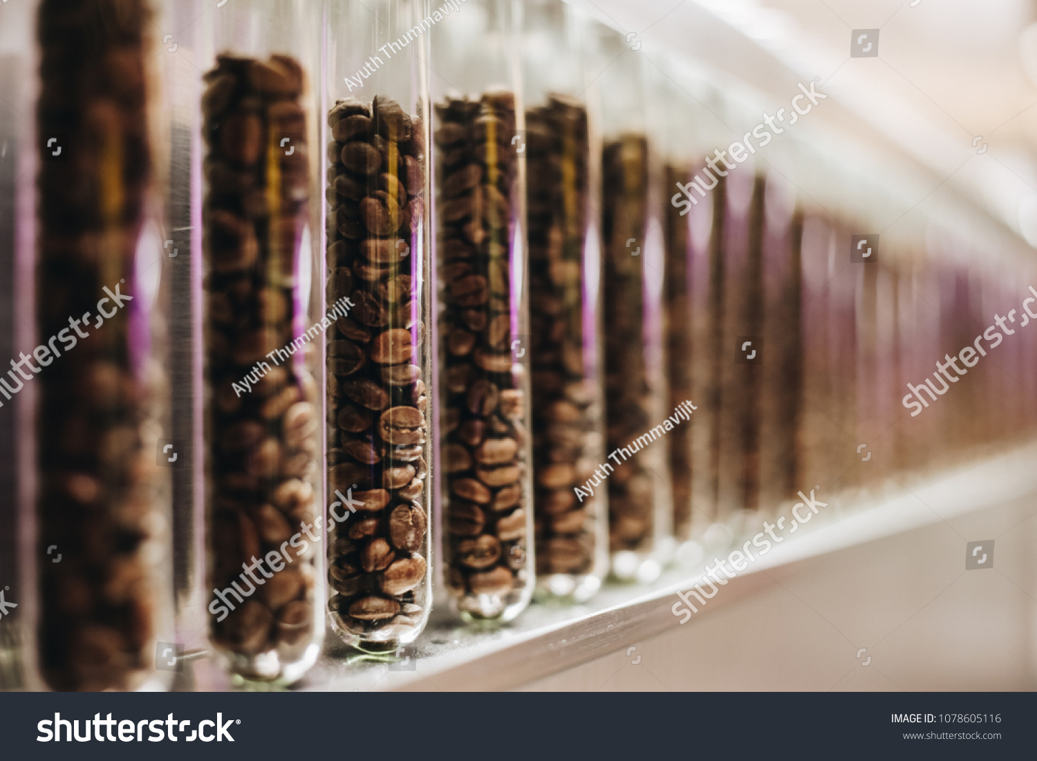 Download Coffee Beans Test Tubes Stock Photo Edit Now 1078605116