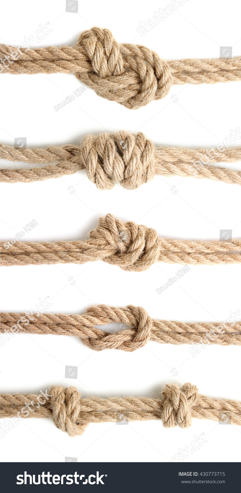 Collage Different Types Knots On White Stock Photo (Edit Now) 430773715