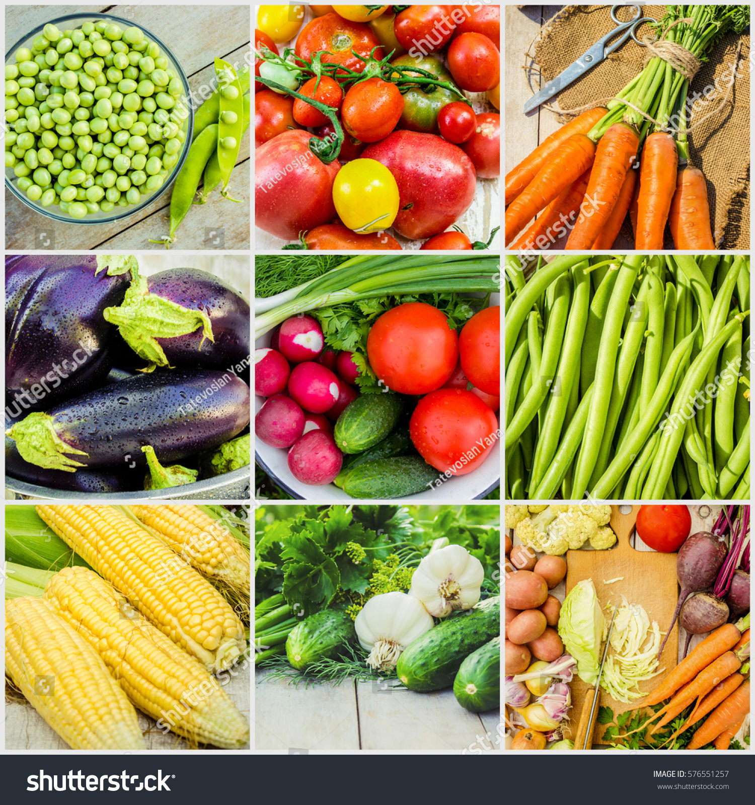 Collage Different Vegetables Vegetarian Food Stock Photo (Edit Now ...