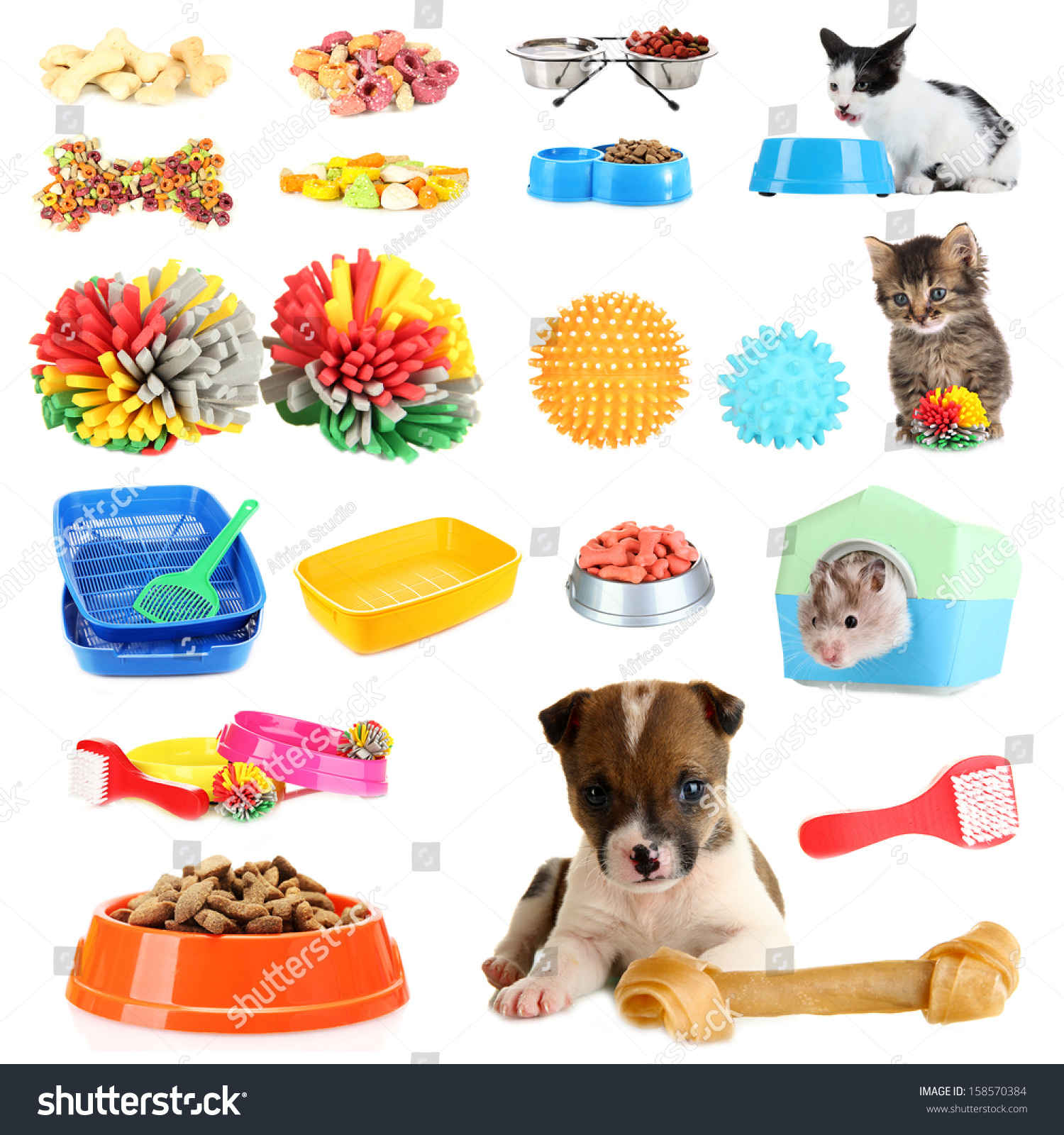 Collage Pets Different Stuff Them Stock Photo 158570384 - Shutterstock