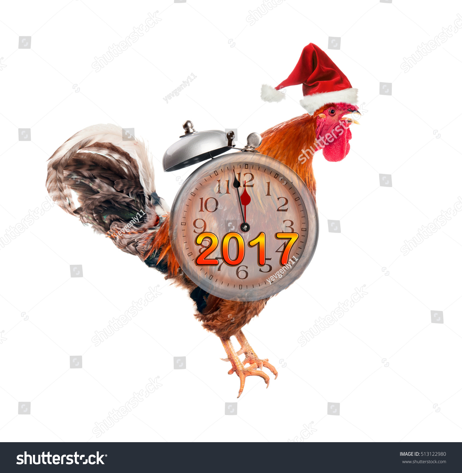 Collage Rooster Alarm Clock Simvol Chinese Stock Photo Edit Now 513122980 Roosting is the action of perching aloft to sleep at night, and is done by both sexes. https www shutterstock com image photo collage rooster alarm clock simvol chinese 513122980