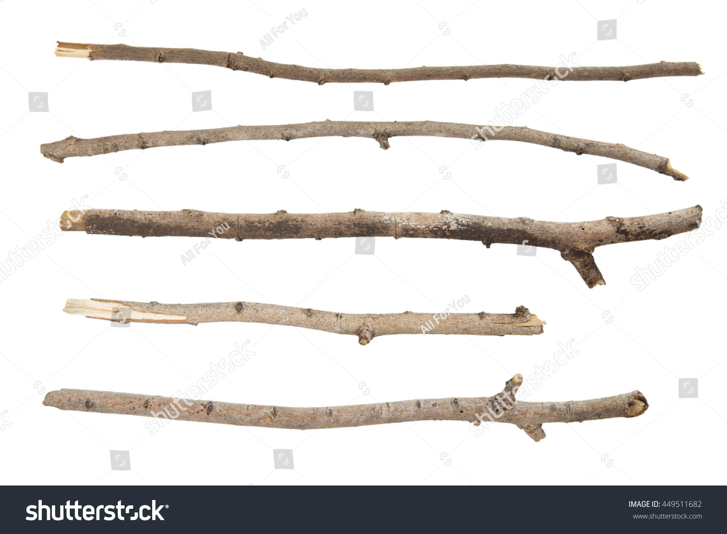 Collection Dry Branches Twigs Isolated On Stock Photo 449511682 ...