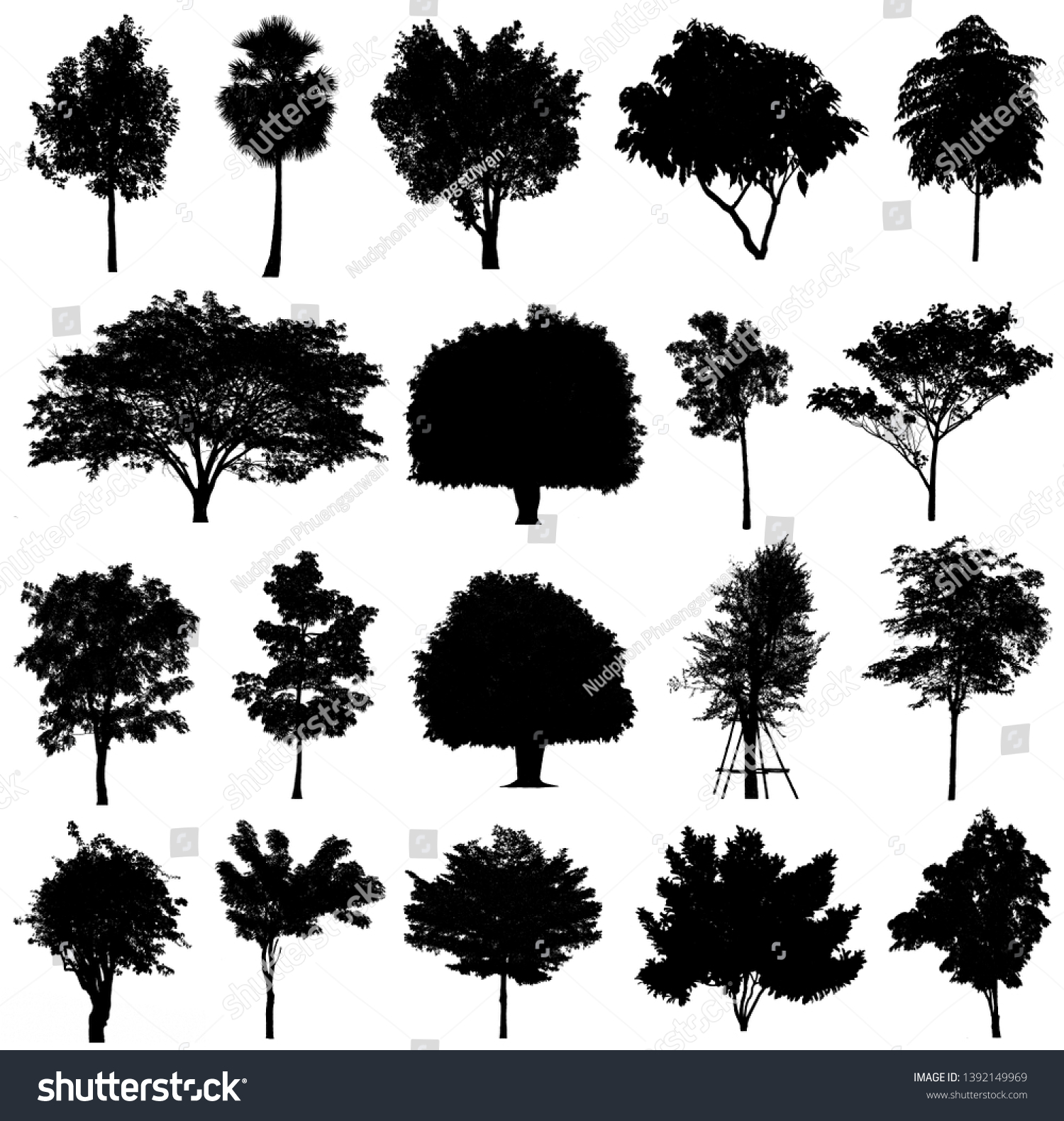 Collection Black Trees Silhouettes Isolated On Stock Illustration ...