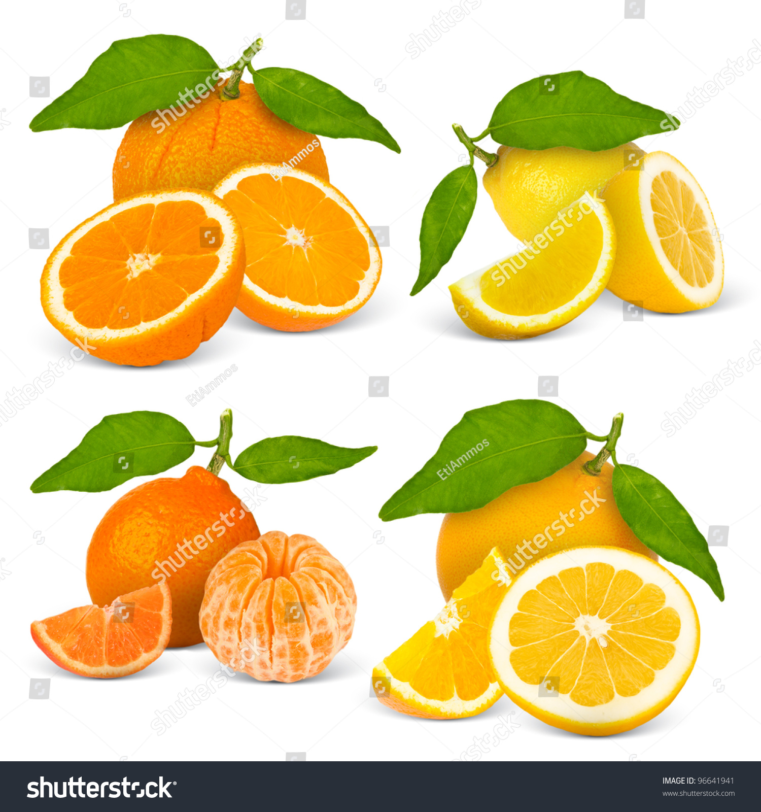 Collection Citrus Fruit Isolated On White Stock Photo 96641941 ...