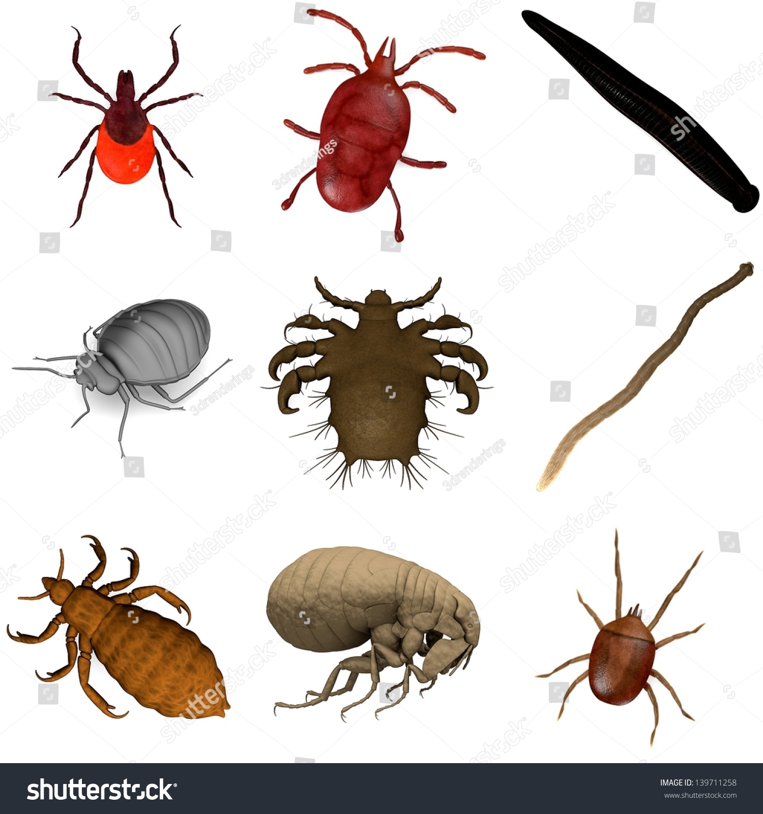 Collection Of 3d Renders - Parasites Stock Photo 139711258 : Shutterstock