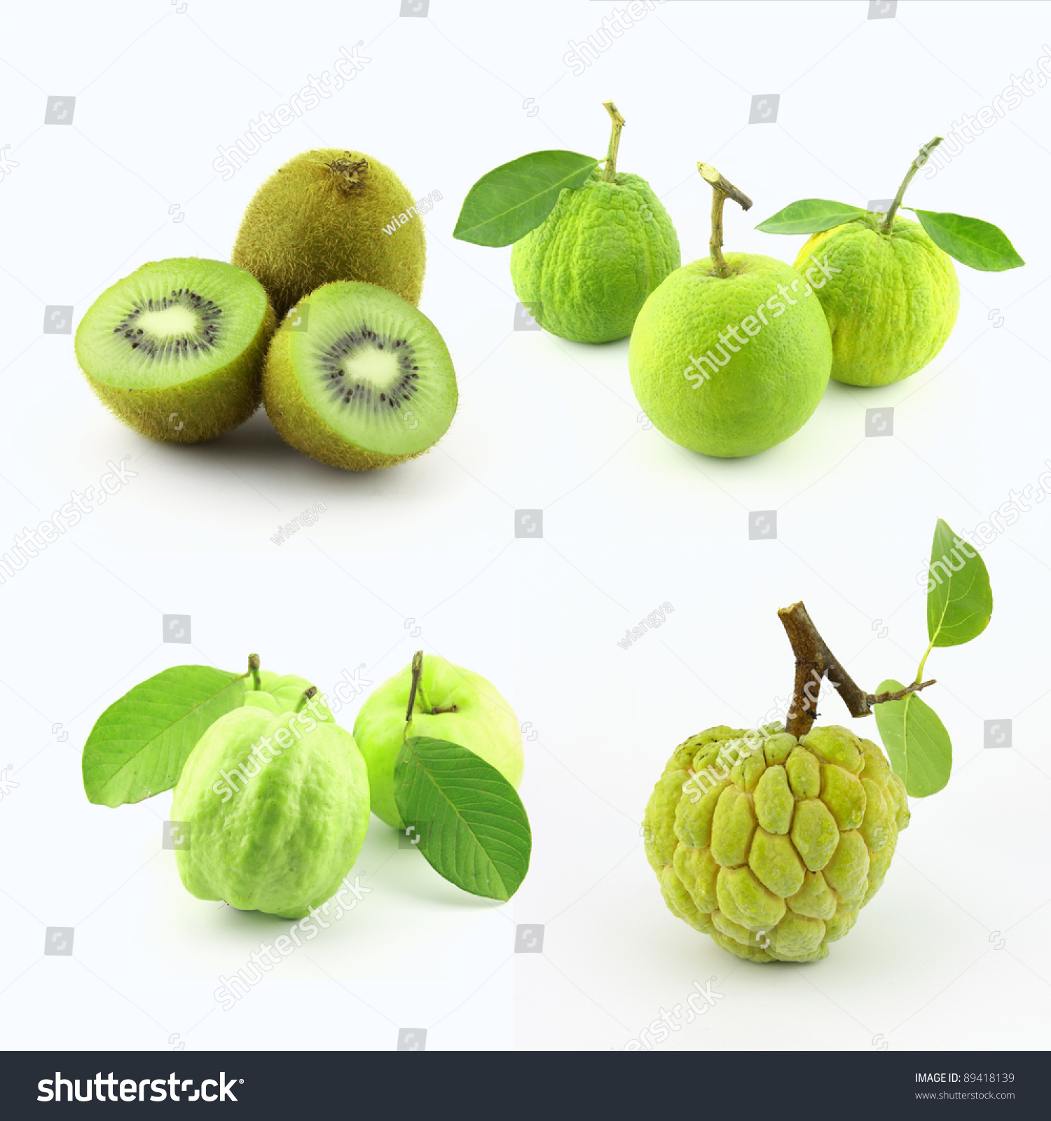 collection green tropical fruitkiwigreenorangeguava sugarapple