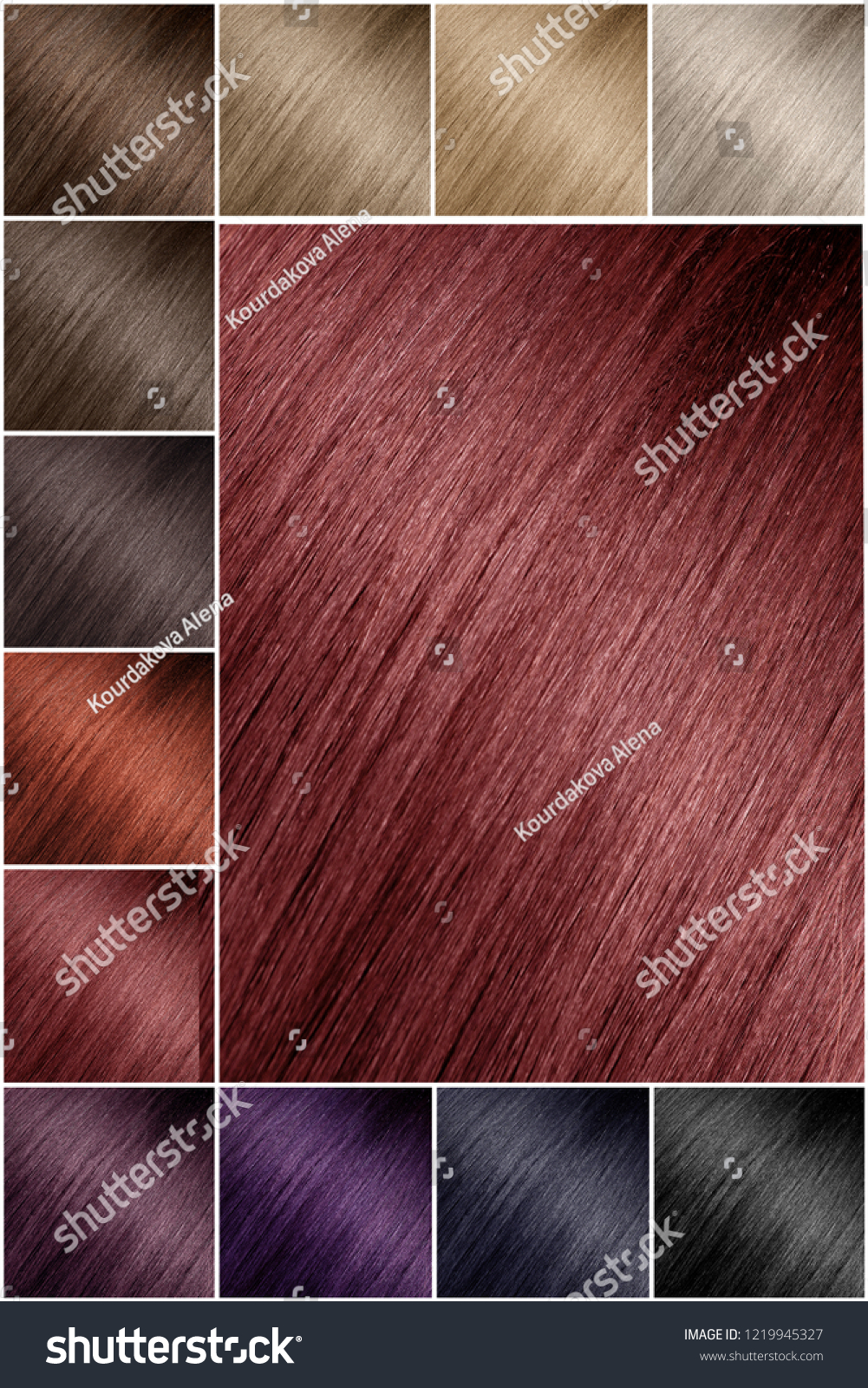 Color Chart Tints Hair Color Palette Royalty Free Stock Image