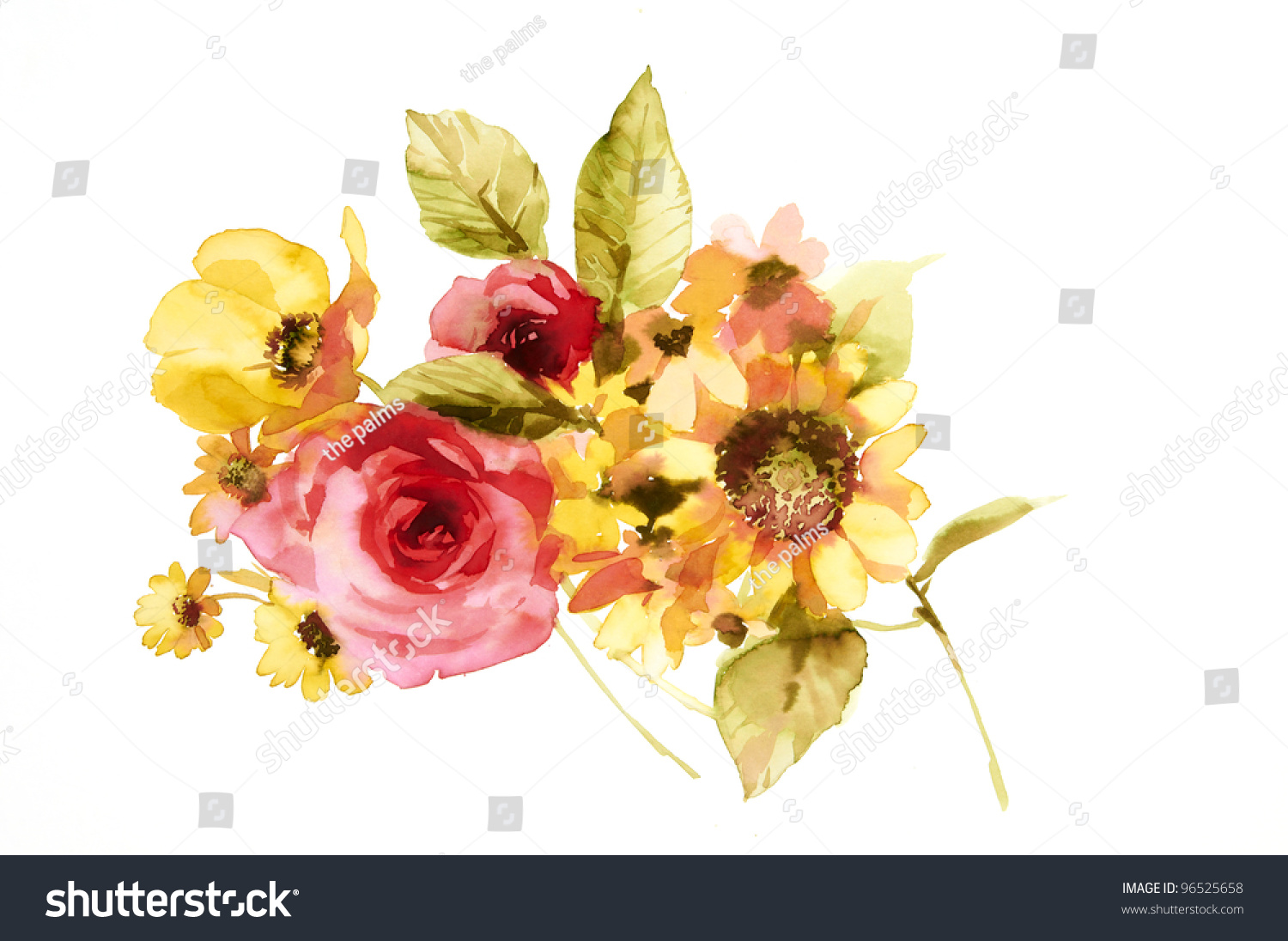 Color Illustration Flowers Watercolor Paintings Stock Illustration ...