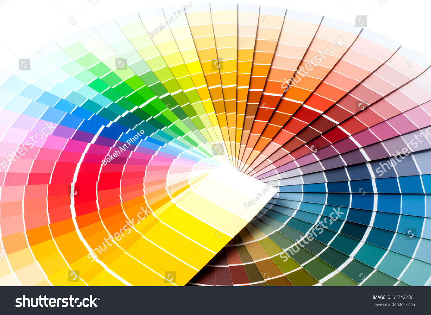 Color Palette Guide Paint Samples Colored Stock Photo (Edit Now) 557422801