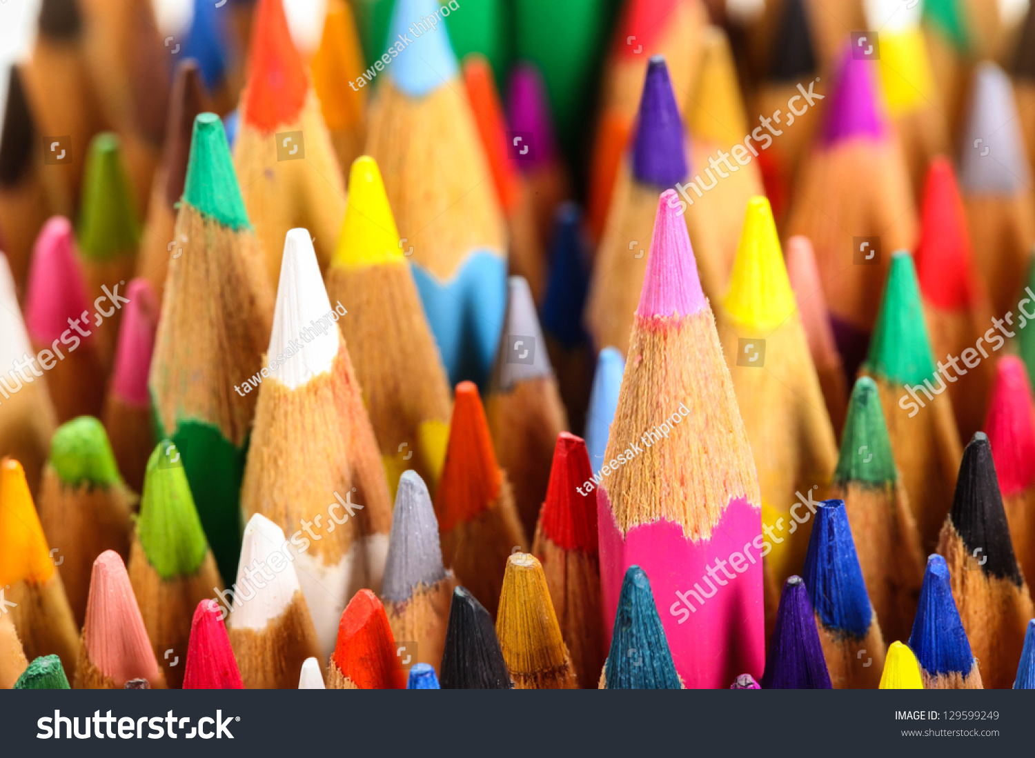 Color Pencils Standing Right Up Stock Photo 129599249 : Shutterstock