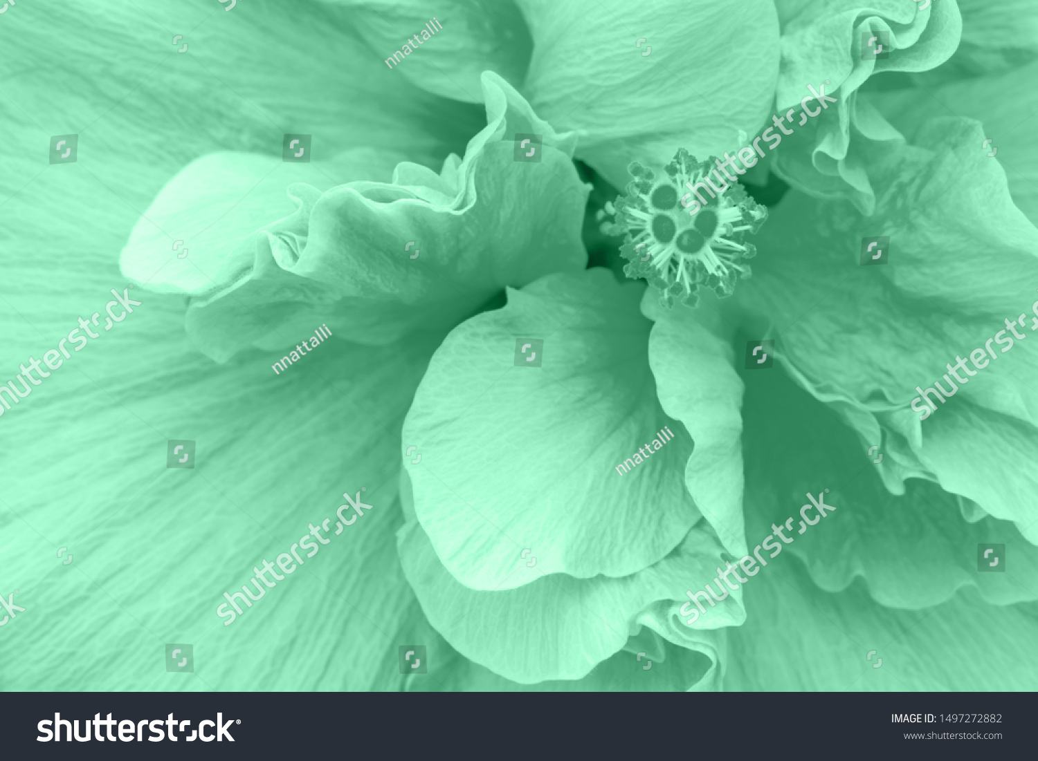Color Trend 2020 Neo Mint Abstractảnh Có Sẵn1497272882 | Shutterstock