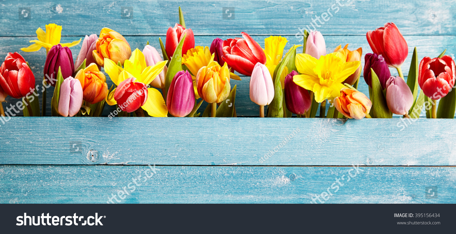 Colorful Arrangement Fresh Spring Flowers Tulips Stock Photo 395156434 ...